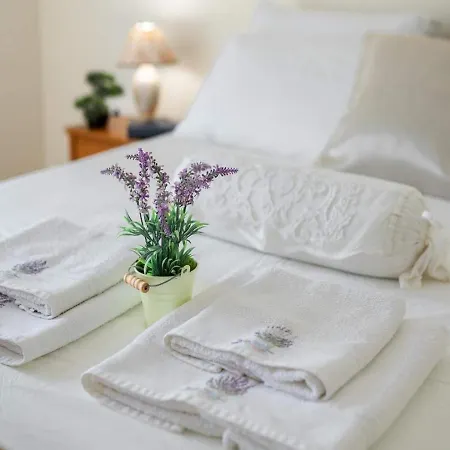 Дом отдыха Solar House 2 *